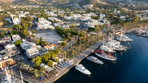 an aerial view of a harbor with boats in the water at Sea Palm Otel Yalıkavak in Yalıkavak