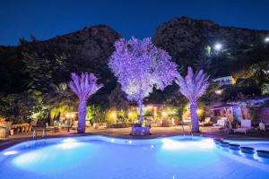 Dar Echchaouen Maison d'Hôtes & Riad في شفشاون: مسبح مع أشجار أرجوانية في الليل