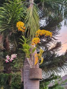 a palm tree with flowers in a wicker basket at Cerah Hotel in Paiton
