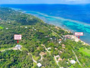 dos señales en la cima de una colina cerca del océano en Ocean Pearl home, en Roatan