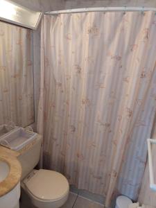 a bathroom with a toilet and a shower curtain at Sunset View in Viña del Mar +26 photos