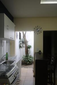 una cocina con fregadero y un árbol en la ventana en Apartamento San Carlos, en Sonzacate