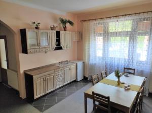 Kuchyň nebo kuchyňský kout v ubytování Apartmány Vranov