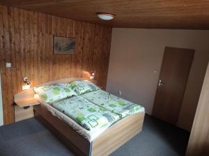 Postel nebo postele na pokoji v ubytování Apartmány Vranov