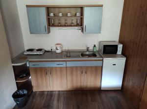Kuchyň nebo kuchyňský kout v ubytování Apartmány Vranov