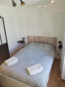 1 dormitorio con 1 cama con 2 toallas en BerryBreak 3, en Neuvy-Saint-Sépulchre