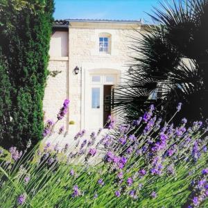 a field of purple flowers in front of a house at Domaine De L'espal in Meursac