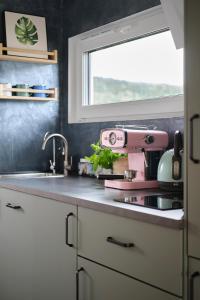 a kitchen with a pink appliance on a counter at Sarnia Łąka domek z prywatnym jacuzzi in Stronie Śląskie