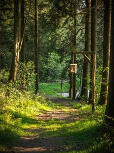 um caminho numa floresta com um sinal em Landhotel Altes Zollhaus em Hermsdorf