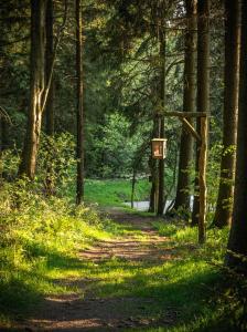 einen Pfad in einem Wald mit einem Schild darauf in der Unterkunft Landhotel Altes Zollhaus in Hermsdorf