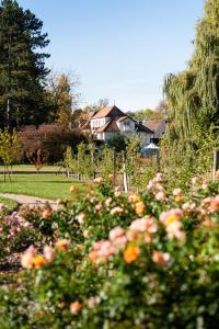 a garden with flowers and a house in the background at Hostellerie De Levernois in Levernois