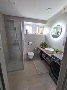 ein Bad mit einer Dusche, einem WC und einem Waschbecken in der Unterkunft Hubane Olevi Apartment in Võru