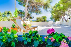 Zahrada ubytování Ses Alzines Apartment - Costa De Los Pinos