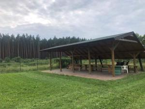 a pavilion with a picnic table in a field at Austeria Zakościele in Inowłódz