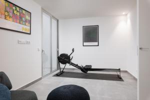 Posilňovňa alebo fitness centrum v ubytovaní KARAT Villa Ibardin Rokabella