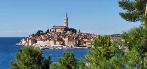 a town on top of a hill in the water at B&B Palace Basilico 1580. in Rovinj