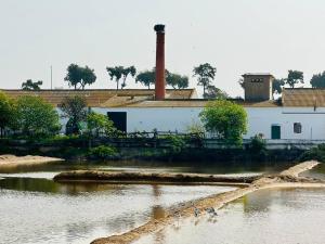 Imagen de la galería de Olhão 3 bedroom apartment in Marina Village, en Olhão