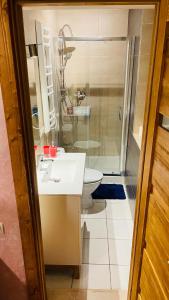 a bathroom with a toilet and a sink and a shower at Gemütliches Apartment mit Kamin und Wohnküche in Herzberg am Harz