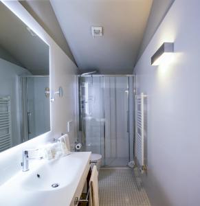 a bathroom with a shower, sink, and mirror at Palazzo Leopoldo Dimora Storica & Spa in Radda in Chianti