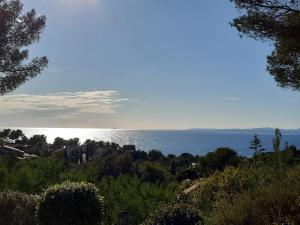 uma vista para o oceano a partir de uma colina em VILLA ANADINE - Aiguebonne BOULOURIS - PLEINE VUE MER - À 5 minutes à pied de la plage - Climatisée em Saint-Raphaël