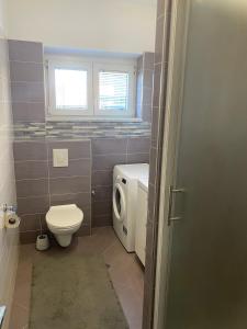a bathroom with a toilet and a washing machine at Apartman Ana Kali in Kali +23 photos