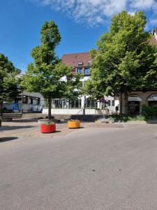 two trees in the middle of a street at Hotel zur Traube in Möglingen