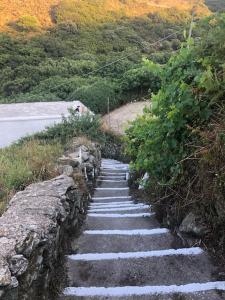 Fotografia z galérie ubytovania Καταφύγιο στη φύση v destinácii Andros