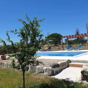 a tree in front of a swimming pool at Quinta Coração d'Ouro in Midões