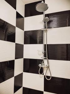 a shower in a bathroom with a checkered wall at Noclegi Studio Masażu in Włodawa