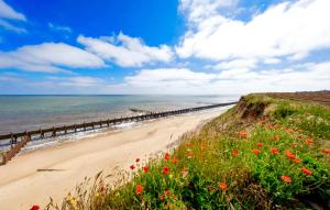 Příroda nedaleko apartmánu