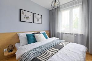 sypialnia z łóżkiem z niebieskimi poduszkami i oknem w obiekcie Apartament Krupówki VIP Odkryj Zakopane w Zakopanem