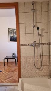 Foto da galeria de Duplex Apartment Promajna em Promajna