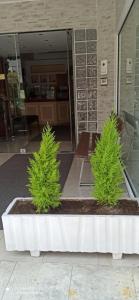 Fotografie z fotogalerie ubytování Chariclia Hotel v destinaci Paralia Katerinis