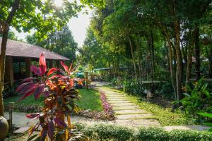 a path in a garden with trees and a building at Valley Village Phu Quoc in Phu Quoc