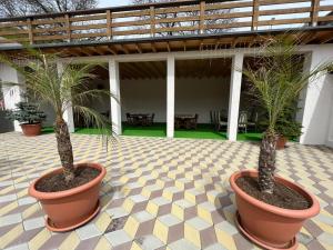 Zahrada ubytování Casa Sofia