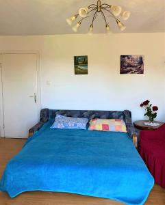 a bedroom with a large bed with a blue blanket at Home in Banja Luka- Vikendica za iznajmljivanje in Banja Luka