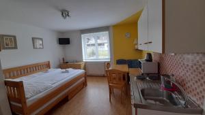 ein Schlafzimmer mit einem Bett und eine Küche mit einem Waschbecken in der Unterkunft Apartmán Klondajk Harrachov in Harrachov
