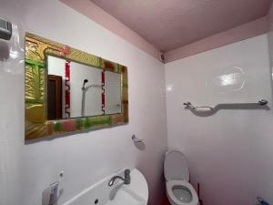 a bathroom with a mirror and a sink and a toilet at BRUNETTE BEAUTIES Guesthouse & Studio Sinemorets in Sinemorets +35 photos