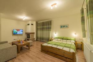 Μια τηλεόραση ή/και κέντρο ψυχαγωγίας στο Apartmány Ráztoky