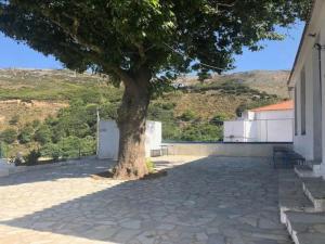 Fotografia z galérie ubytovania Καταφύγιο στη φύση v destinácii Andros