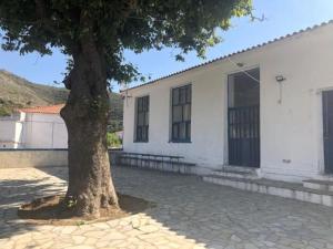 Fotografia z galérie ubytovania Καταφύγιο στη φύση v destinácii Andros