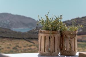 Anemela Villas & Suites Mykonos في Agrari: مزهريتين مع نباتات فيها جالسين على طاولة