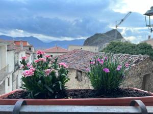 zwei Blumen in einem Blumentopf auf einem Balkon in der Unterkunft Eco del ponte in Sasso di Castalda