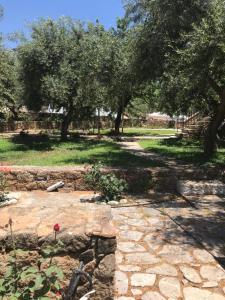 A garden outside To Palio