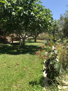 A garden outside To Palio