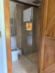 a bathroom with a toilet and a glass shower door at Gooseford Farm in Okehampton