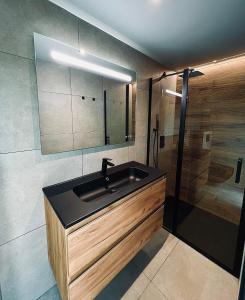 bagno con lavandino e doccia di LOFT et SPA sous les étoiles a Foix