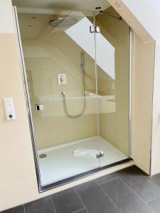 W łazience znajduje się prysznic ze szklanymi drzwiami. w obiekcie Apartments Sunny Place w mieście Rust