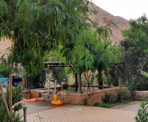 a garden with a park with trees and an orange cone at Afra Hot Springs Chalets in Tufailah