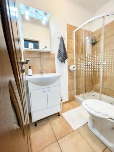 a bathroom with a shower and a sink and a toilet at Alex Com in Sibiu